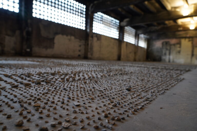 PETE WANPUECH CHANGTONGKAM